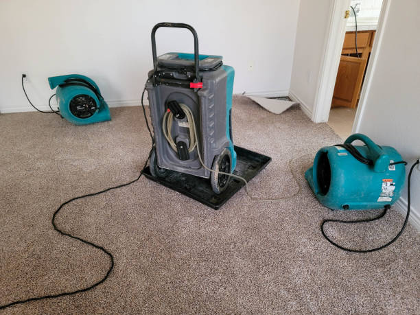 Best Water damage contractors near me  in Tuckerman, AR
