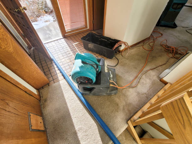 Best Flood restoration services  in Tuckerman, AR