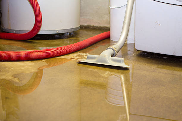 Tuckerman, AR Water damage restoration Company