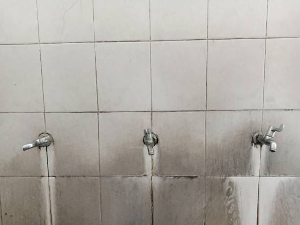 Best Water damage restoration near me  in Tuckerman, AR