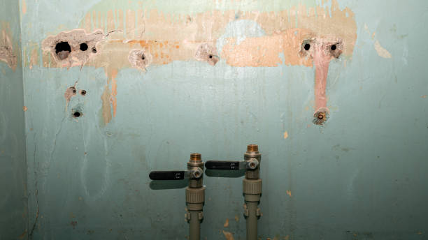 Best Water damage contractors near me  in Tuckerman, AR