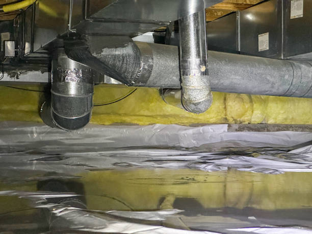 Best Water damage cleanup near me  in Tuckerman, AR