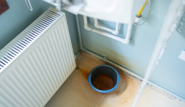 Best Water damage cleanup near me  in Tuckerman, AR