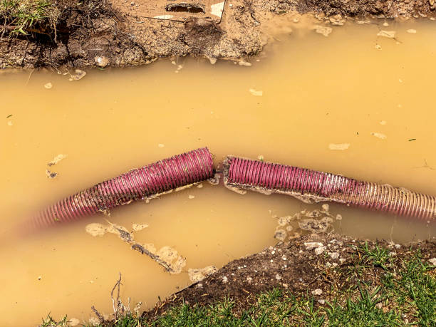 Best Sewage cleanup and water damage restoration  in Tuckerman, AR