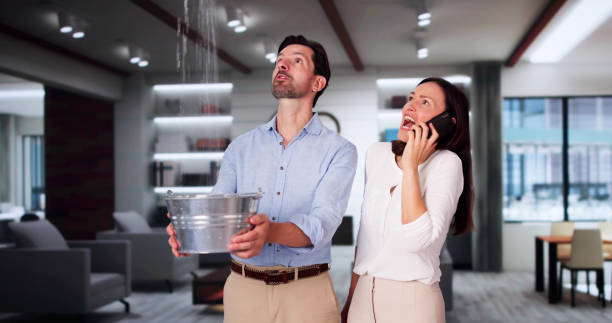 Best Mold removal after water damage  in Tuckerman, AR